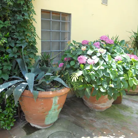 Le Macine Farmház Firenze