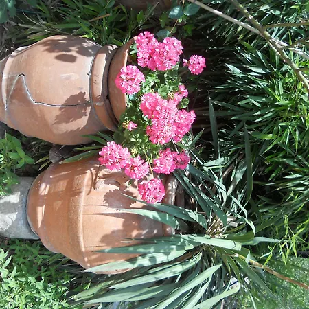Gospodarstwo agroturystyczne Le Macine Florencja