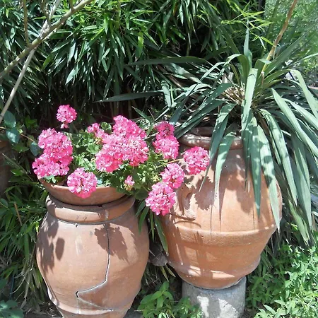 Séjour à la ferme Le Macine *